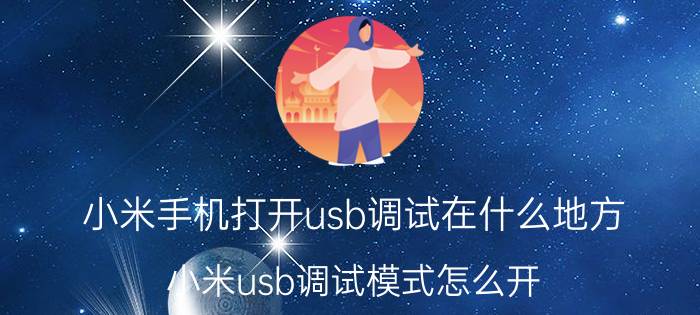 小米手机打开usb调试在什么地方 小米usb调试模式怎么开？